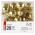 EMOS DCGW11 VIAN. GIRLANDA GUL. GOLD 20LED 2AA IP20 T WW