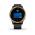 GARMIN VENU BLACK/GOLD 010-02173-33