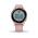 GARMIN VIVOACTIVE 4S DUST ROSE/LIGHT GOLD 010-02172-33