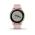 GARMIN VIVOACTIVE 4S DUST ROSE/LIGHT GOLD 010-02172-33