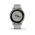 GARMIN VIVOACTIVE 4S POWDER GRAY/SILVER 010-02172-03