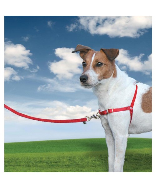 PETSAFE EASY WALK HARNESS - SMALL RED